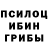 Псилоцибиновые грибы GOLDEN TEACHER Konstantin Schurov
