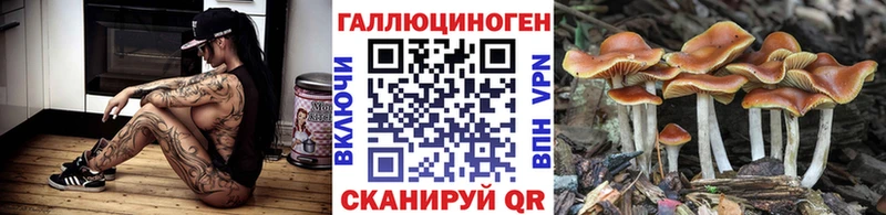 Галлюциногенные грибы мицелий  Суздаль 